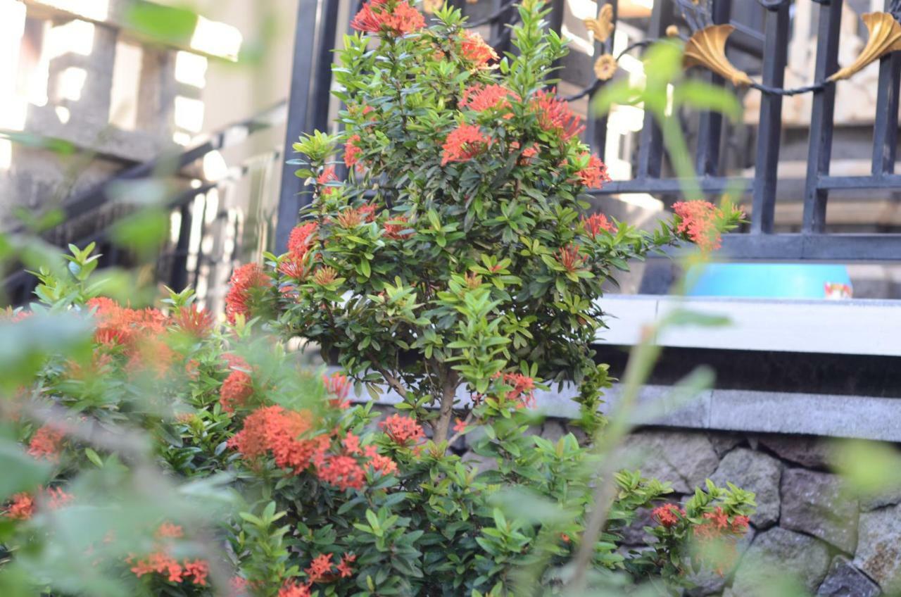 Amed Romance House 외부 사진